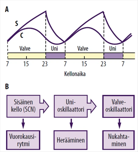 Vaateunet Ja Itsetutkiskelu