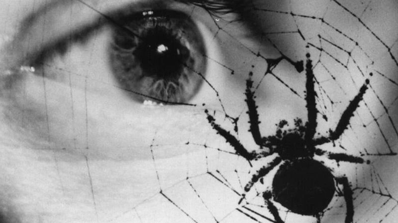 Valokuvaamisen Rooli Unissa