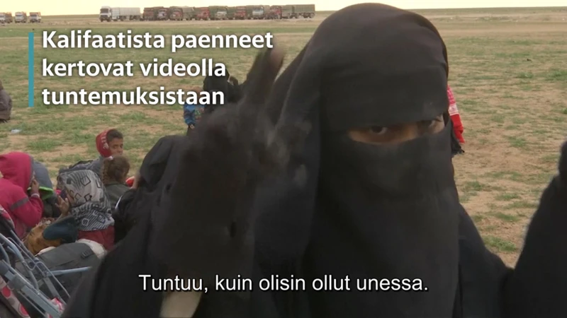 Varikas Käärme Unissa: Yleiset Tulkinnat