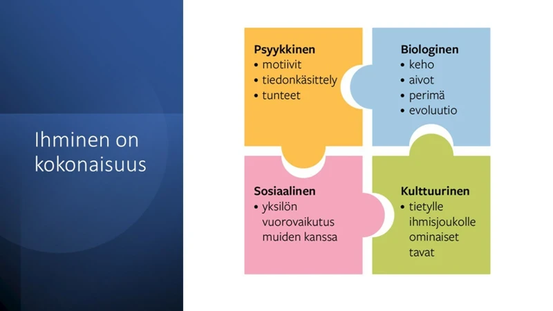 Viinapullon Psykologiset Näkökulmat