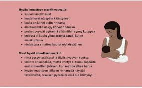 Viinapullon Värit Ja Muodot