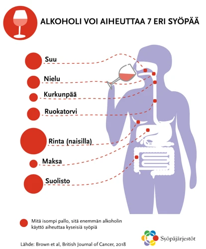 Vinkkejä Alkoholin Käytön Vähentämiseen