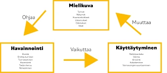 Visuaalinen Ilme Ja Värit