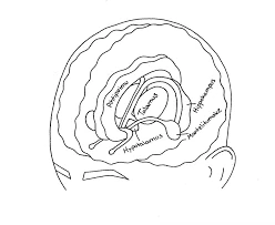 Voiko Ampuminen Unissa Vaikuttaa Todellisuuteen?