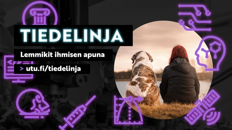 Voiko Talon Katon Symboliikka Ennustaa Tulevaisuutta?