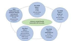 Yhteys Tunteisiin Ja Narhiin
