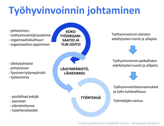 Yksilölliset Tulkinnat