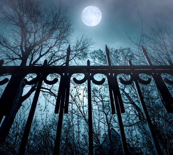 Yleisimmät Unet Jahtaamisesta